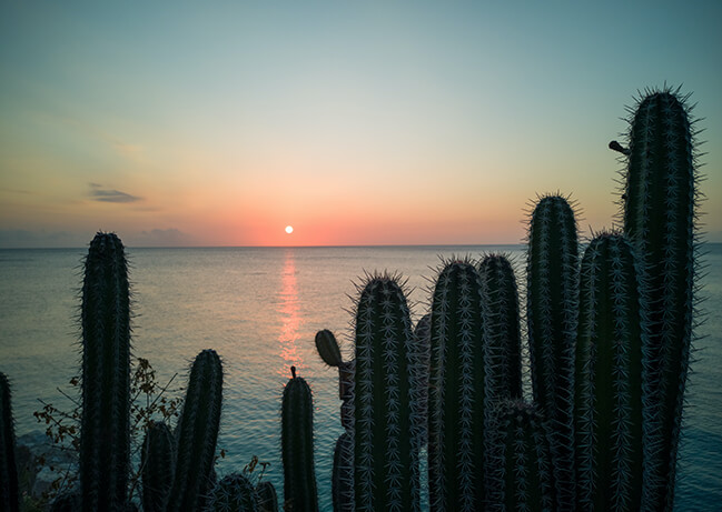 contact-us-banner-image